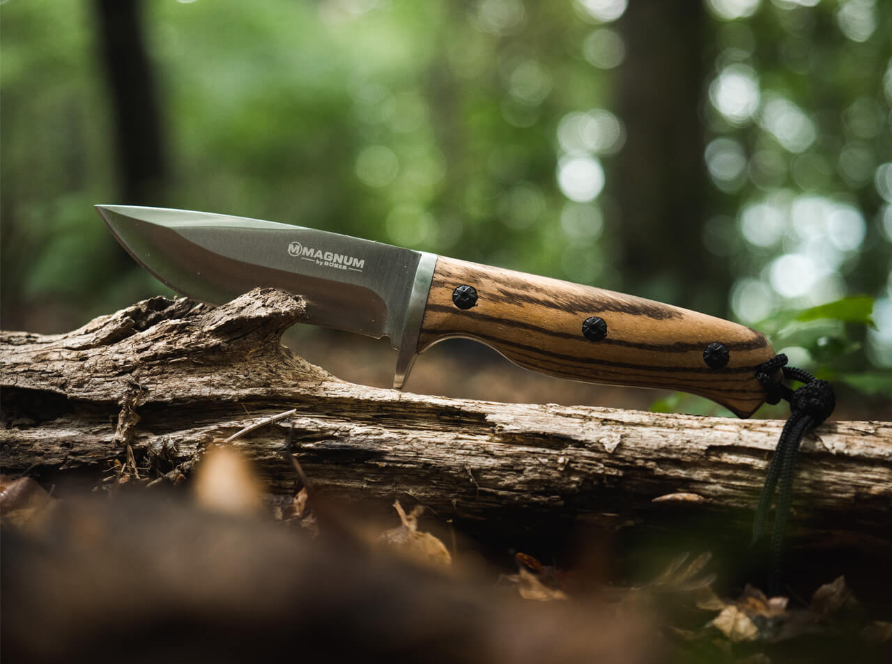 Nóż BOKER MAGNUM ZEBRA DROP - Ułożony a drewnie i detale