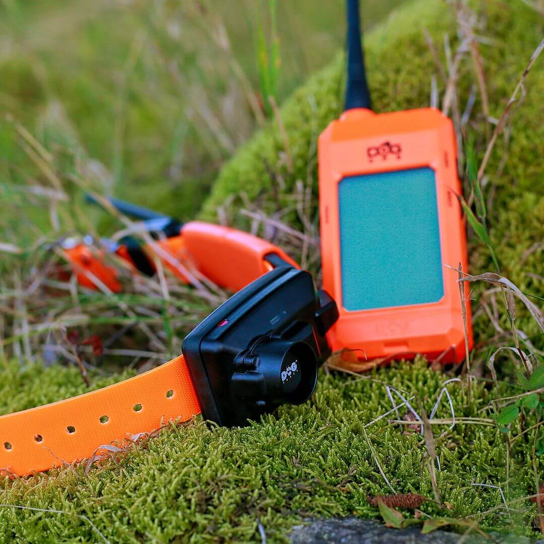 Lokalizator DOGTRACE DOG GPS X30TB - Obroża i odbiornik w terenie