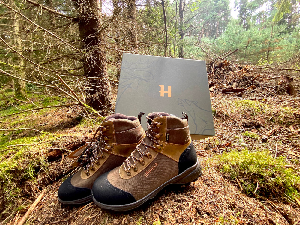 BUTY HARKILA WILDWOOD GTX - Brązowy - W lesie z kartonem od butów 