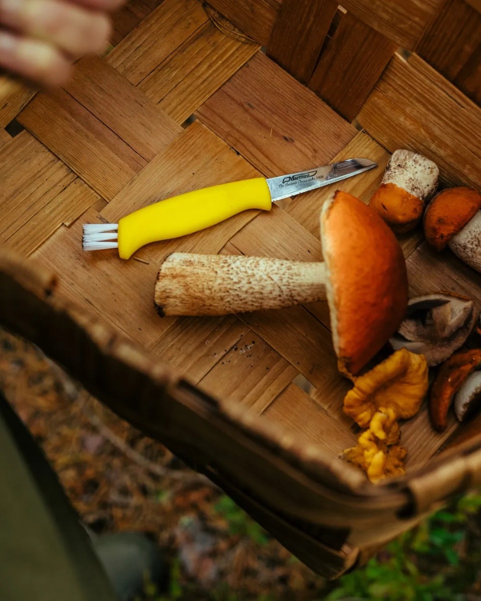 NÓŻ mushroom leżący w koszu