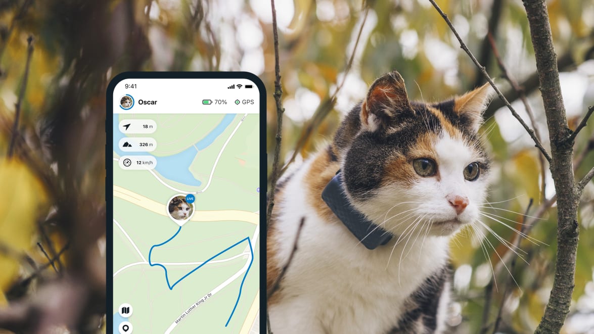 Tractive GPS CAT Mini - Funkcja GPS LIVE Tracking