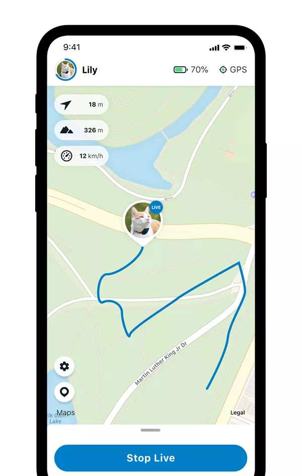 Tractive GPS CAT 4 - LIVE Tracking