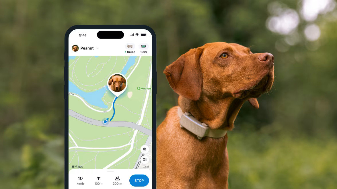 Tractive GPS DOG GPS & HEALTH - Funkcja GPS LIVE Tracking