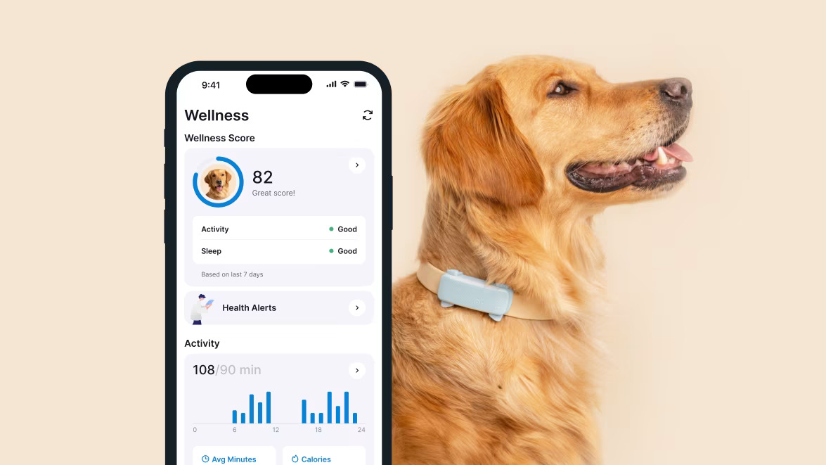 TRACTIVE GPS DOG GPS & HEALTH - Aplikacja