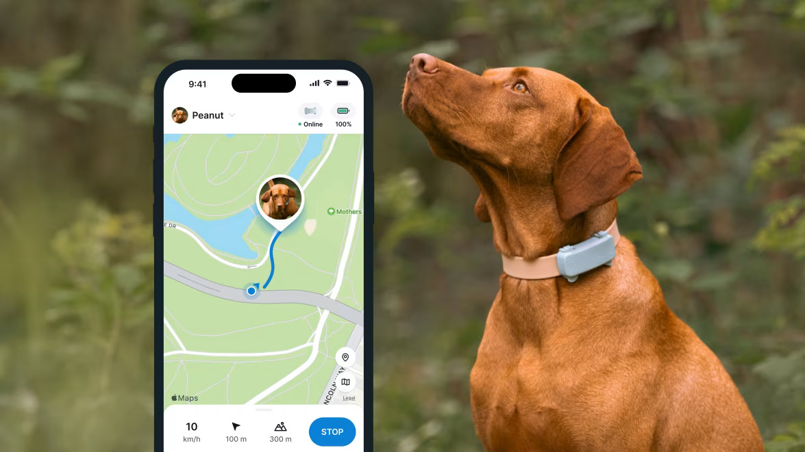 Tractive GPS DOG GPS & HEALTH - Funkcja GPS LIVE Tracking