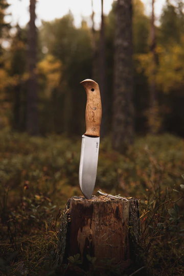 Nóż HELLE NORD - Sandvik 14C28N - Wbity pionowy w drzewo
