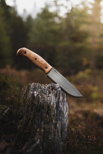 Nóż HELLE NORD - Sandvik 14C28N - Wbity w drzewo