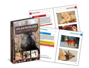 Książka "Atlas patologii dzikich zwierząt" OIKOS