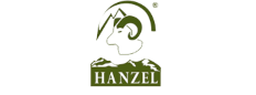 Logo Hanzel