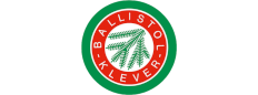 Logo Klever